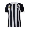 Maglia ufficiale Santos FC 2023-24 Trasferta per Uomo